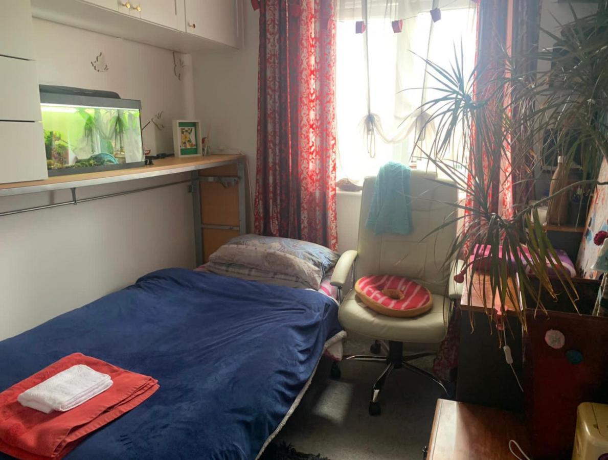 Cosy Room In London Wembley Exterior photo